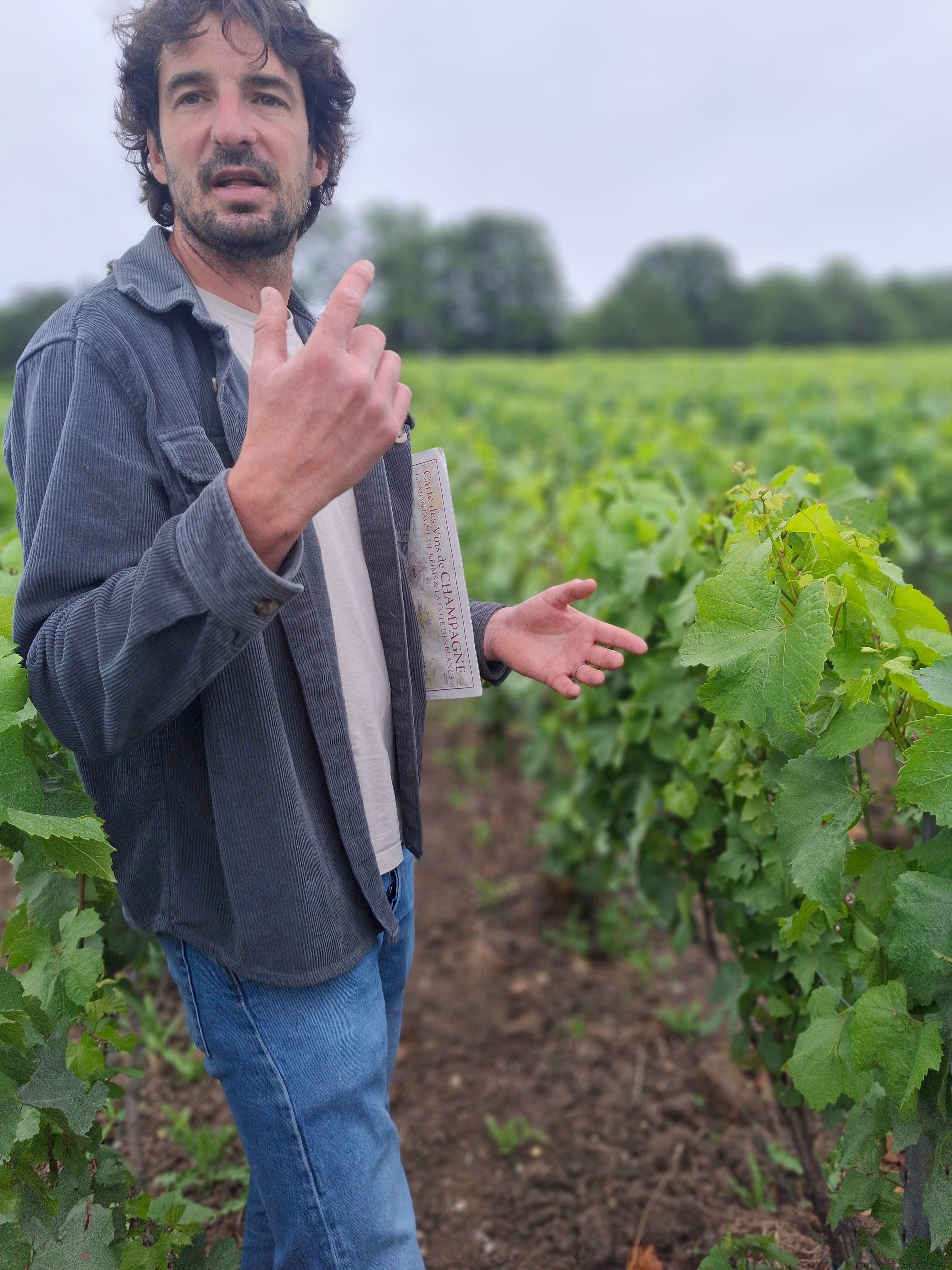 Why We Chose Our First Champagne Producer