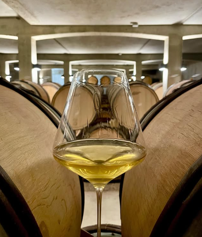 To Cellar or Not to Cellar | Vintrepid Wine Advice