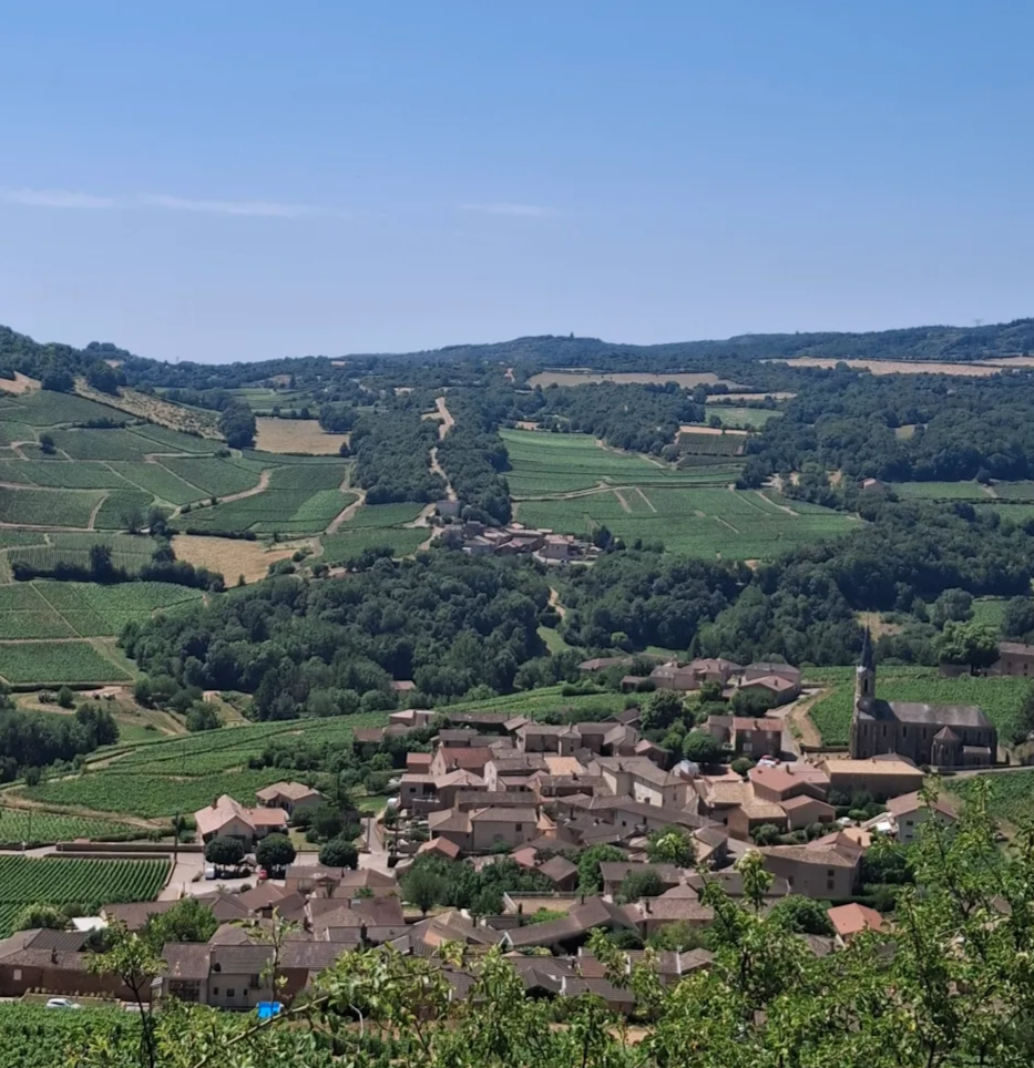 France Buying Trip 2026: Day 11 – The Best Discoveries Aren't Always Planned