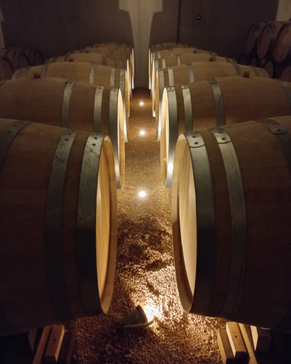 Premier Cru Burgundy Box