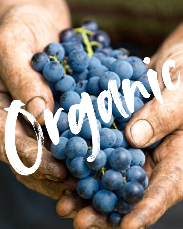 Organic Box