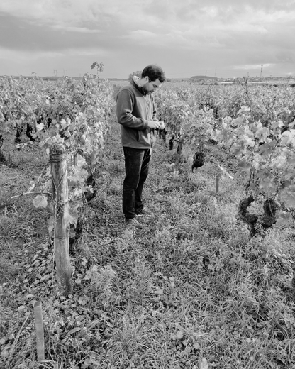 Discovery French Wine Subscription