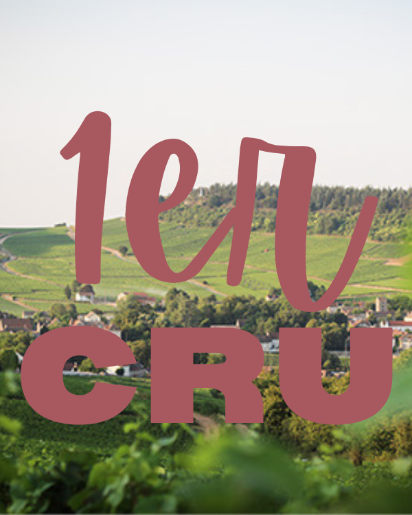 Premier Cru Burgundy Box