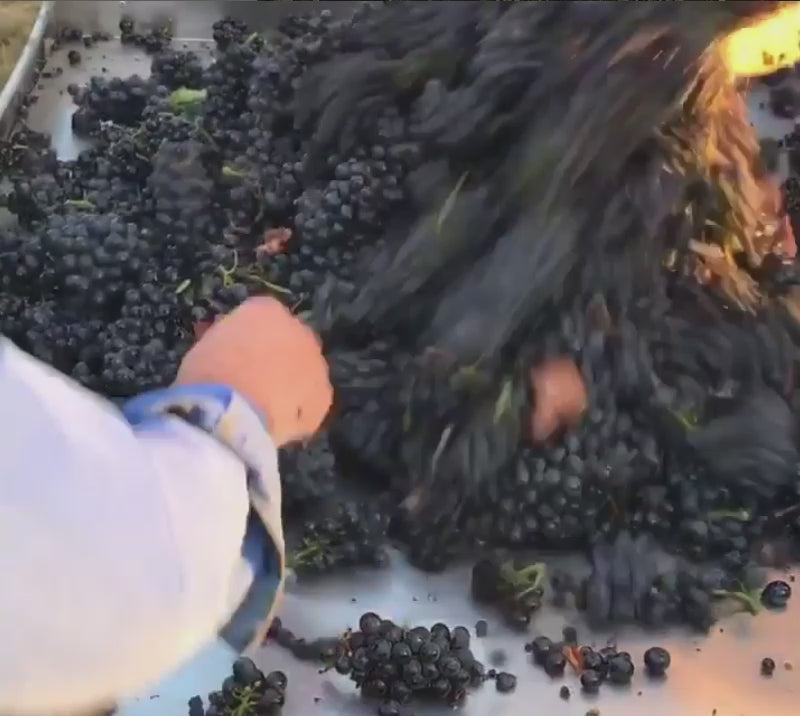 Load video: 